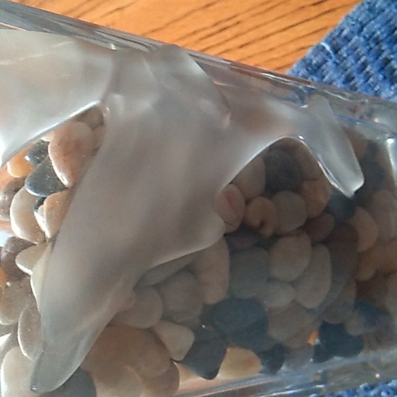 NACHTMANN DOLPHIN 🐬 MARINE FROSTED/CLEAR VASE  EV - Picture 5 of 15